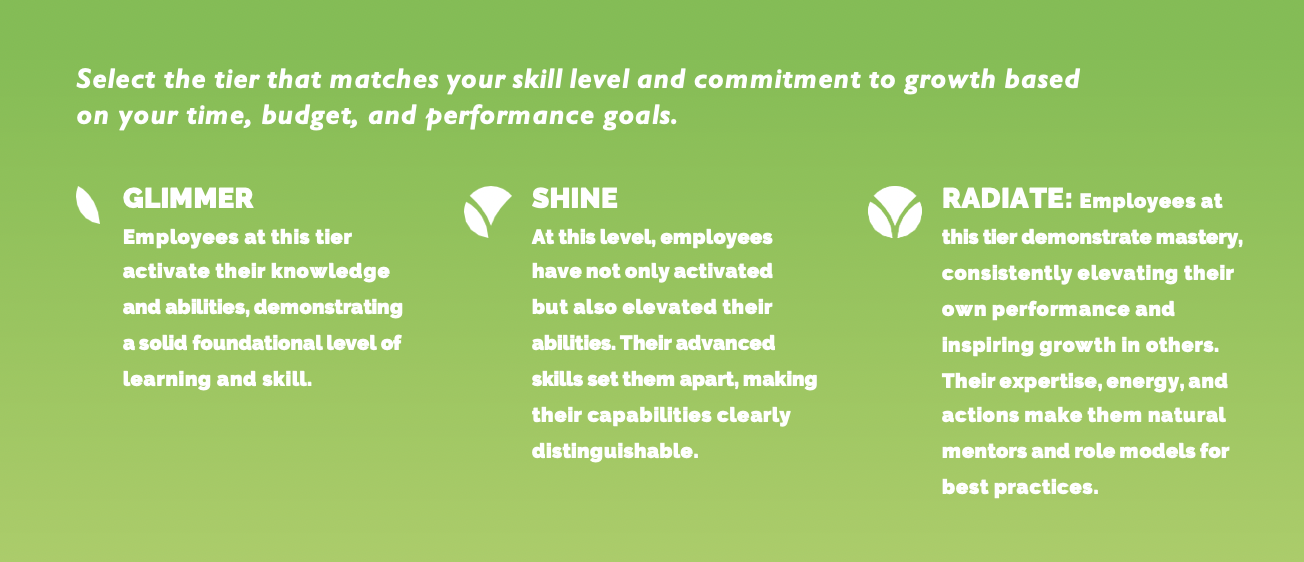 Skill Tiers Desktop